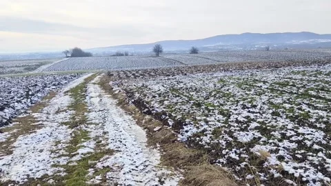 Agricultural fields covered with snow Stock Footage 262007408
