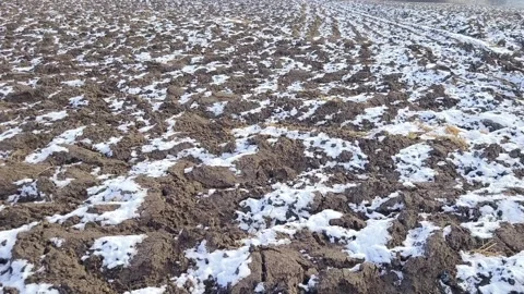 Agricultural fields covered with snow Stock Footage 262007411