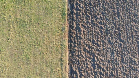 Agricultural fields in early springtime. Symmetrical composition. Stock Footage 105715057