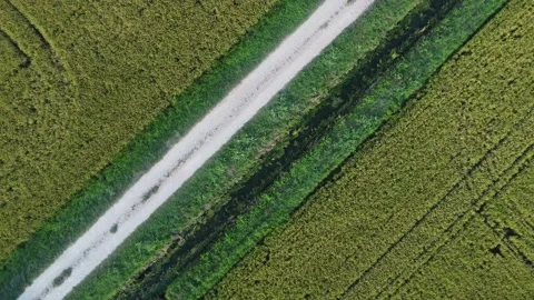 Agricultural fields 스톡 동영상 206447890