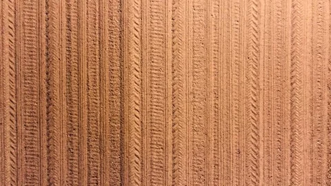 Agricultural fields Stock Footage 247179739