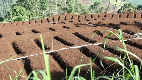 Agricultural fields Stock Footage 276804705