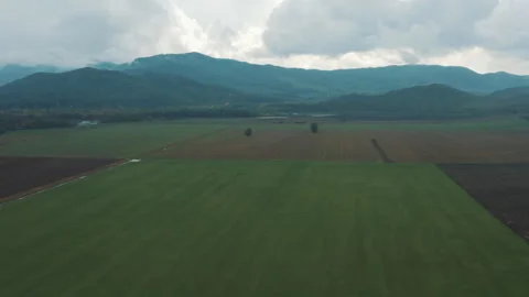 Agricultural fields in the foothills Stock-Footage 252512828