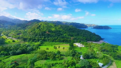 Agricultural fields on the island Stock Footage 138221813