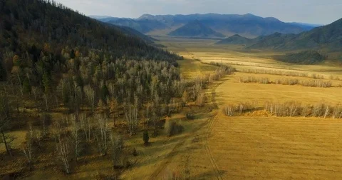 Agricultural fields in the mountains Video stock 82991807