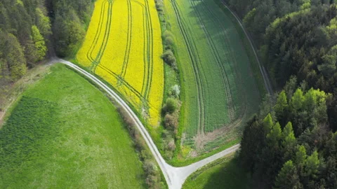 Agricultural fields with oilseed rape, Steigerwald, Bavaria, Germany Vídeos de archivo 254688134