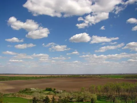 Agricultural fields Stock Photos