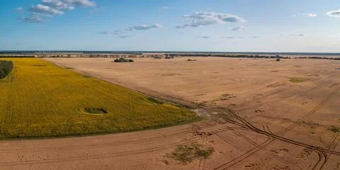 Agricultural fields Stock Photos