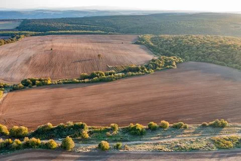 Agricultural fields. Stock Photos