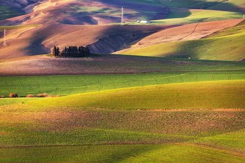 Agricultural fields 库存照片