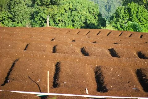 Agricultural fields Stock Photos