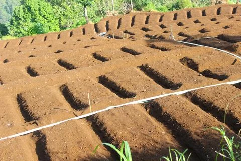 Agricultural fields Stock Photos
