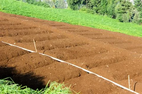 Agricultural fields Stock Photos