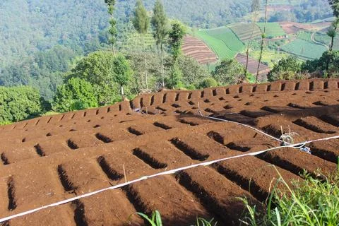 Agricultural fields Stock Photos