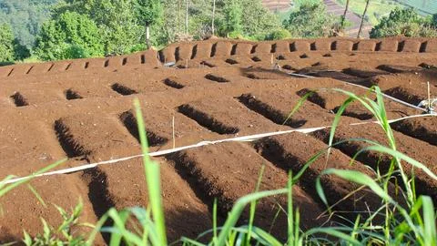 Agricultural fields Stock Photos