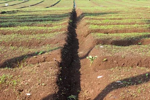 Agricultural Fields Stock Photos