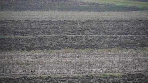 Agricultural fields Stock Photos