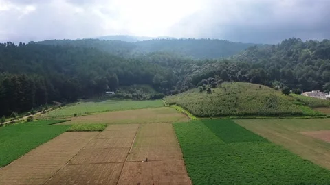 Agricultural fields with sowing and empty fields ready for sowing Stock Footage 140698491