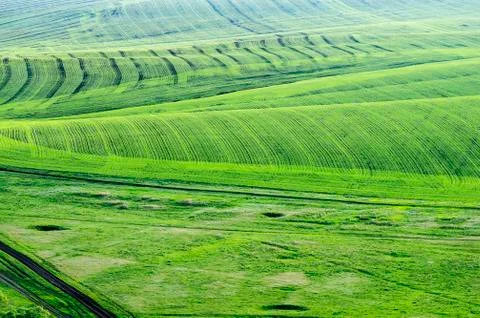 Agricultural fields in the spring Stock Photos