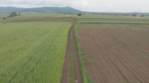 Agricultural fields in springtime Stock Footage 266723175
