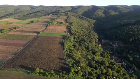 Agricultural fields surrounded by mountains and woods Stock Footage 260000023