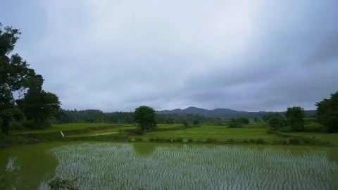 Agricultural fields - Time Lapse 動画素材 117167405