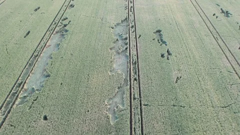 Agricultural fields in a top view. You can see places destroyed by the elem.. Stock Footage 246929917