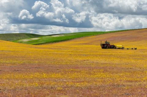 Agricultural fields with tractor 写真素材