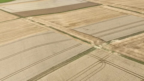 Agricultural fields, wheat harvest Stock Footage 340142398