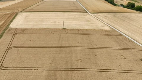 Agricultural fields, wheat harvest Stock Footage 340142403