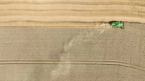 Agricultural fields, wheat harvest Stock Footage 340142614