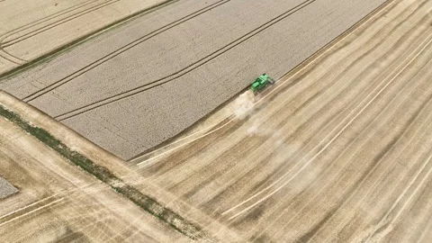 Agricultural fields, wheat harvest Stock Footage 340143354