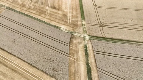 Agricultural fields, wheat harvest Stock Footage 340143576