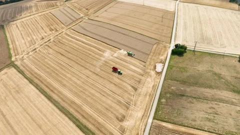Agricultural fields, wheat harvest Stock Footage 340144600