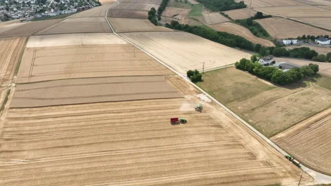 Agricultural fields, wheat harvest Stock Footage 340144724