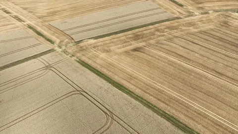 Agricultural fields, wheat harvest Stock Footage 340145625