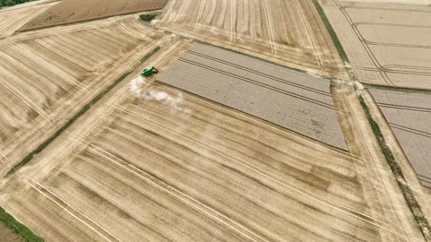 Agricultural fields, wheat harvest Stock Footage 340149388