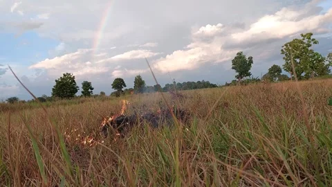 Agricultural fire burning dry grass under a beautiful sky with rainbow. Video stock 335731431