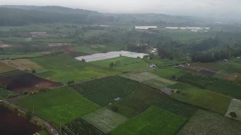 Agricultural Stock Footage 242521280