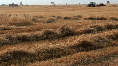 Agricultural harvester baler machine Stock Footage 12535680