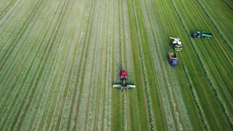 Agricultural high-tech machinery working in field. Preparing mown grass for Stock Footage 314060233