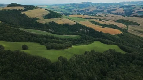 Agricultural industry. Fields. Agro. Forest. Summer. Green hills. Mountainous Stock Footage 263379822