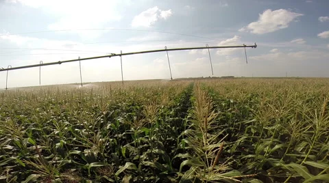 Agricultural Irrigation System in Action Stock Footage 68416886