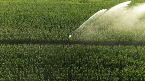 Agricultural Irrigation System in action Stock Footage 249914245