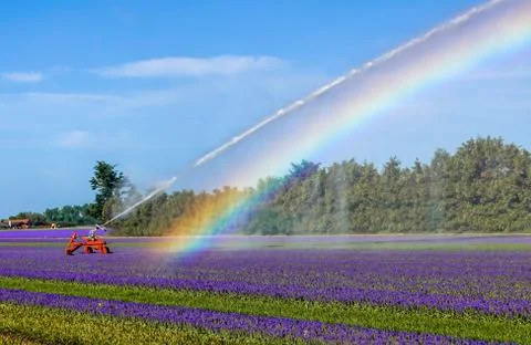 An agricultural irrigation system Stock Photos