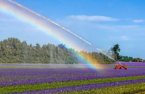An agricultural irrigation system Stock Photos