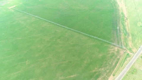 Agricultural Irrigation System Watering Corn Field on Summer Day Stock Footage 77209393