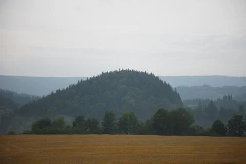 Agricultural land on the background of a forest in the foothill area Foto stock