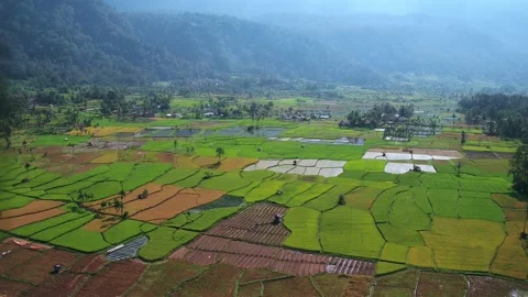 Agricultural Land Drones Stock Footage 334093225