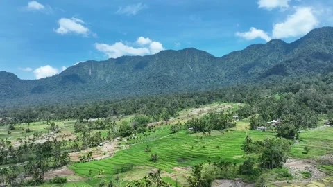 Agricultural Land Drones Stock Footage 334093226
